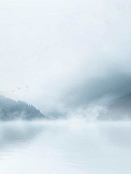 云雾湖 WDL0059 摄影 自然