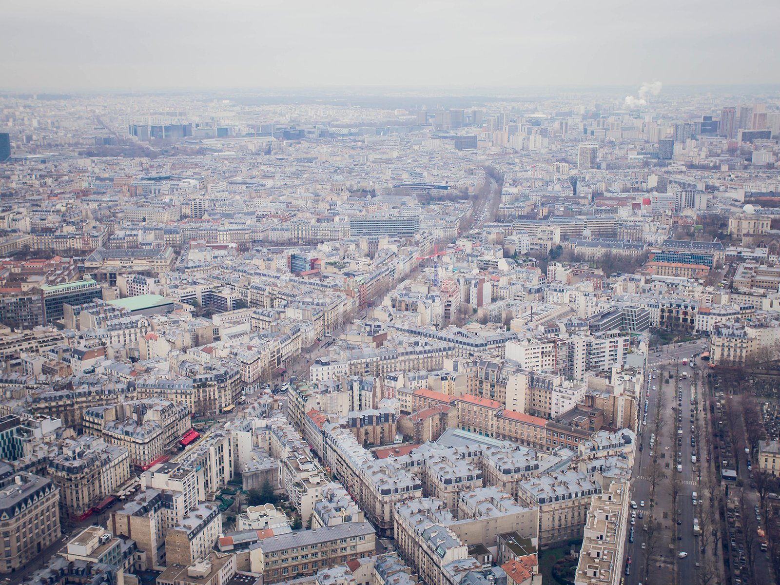 The Pulse of the City 1 The Pulse of the City